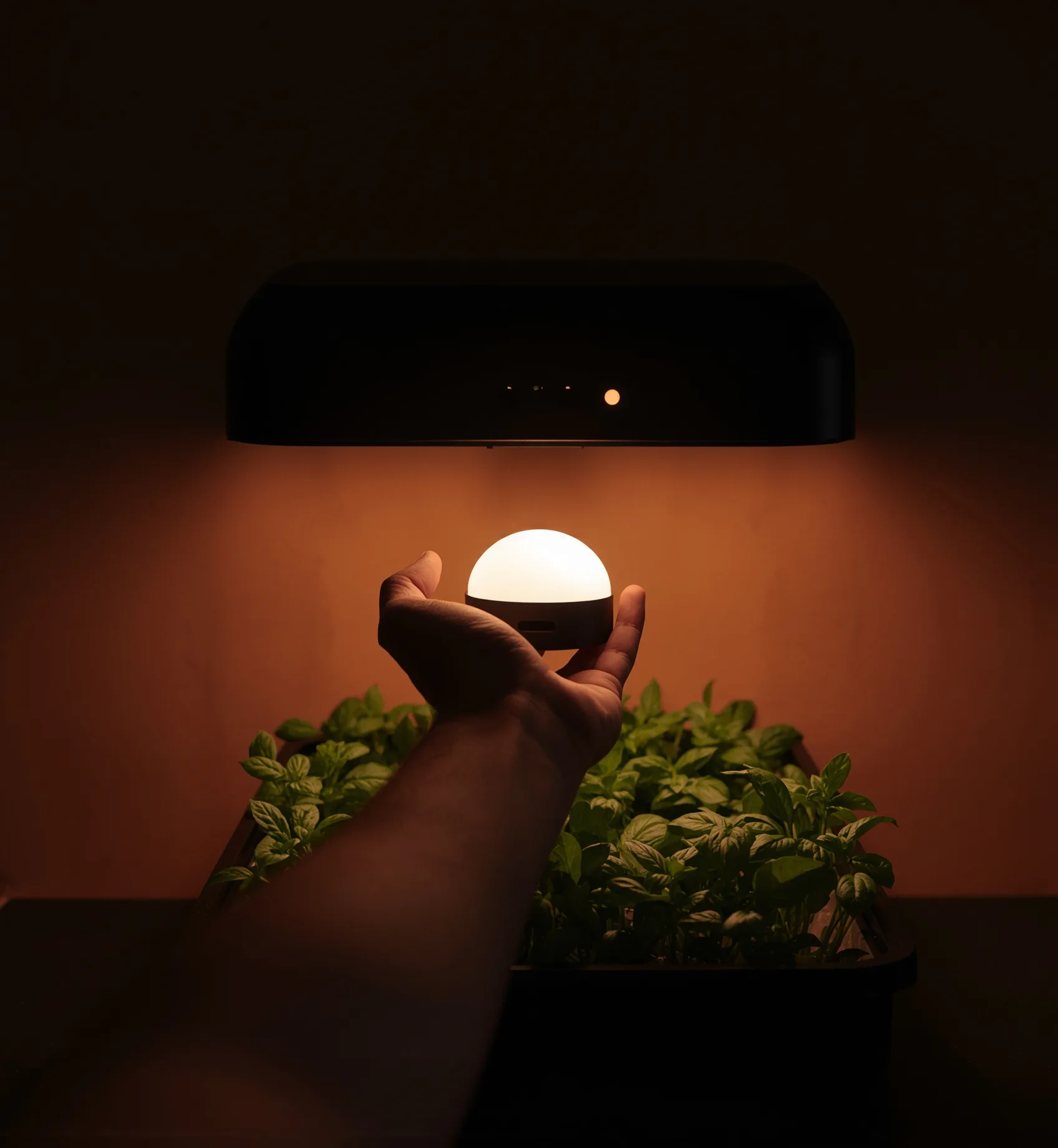 Hand holding a light meter at canopy level under a warm white board, its small display glowing