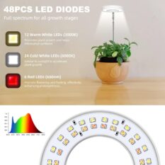 Grow Lights Automatic Timer Lamp 4