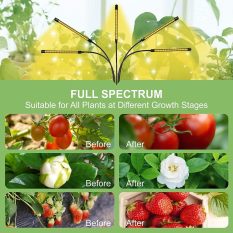 Indoor Grow Lights with Remote Control and Auto On Off Timer Function full spectrum comparison