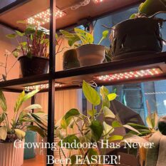 Indoor Plant Light Energy Efficient 1