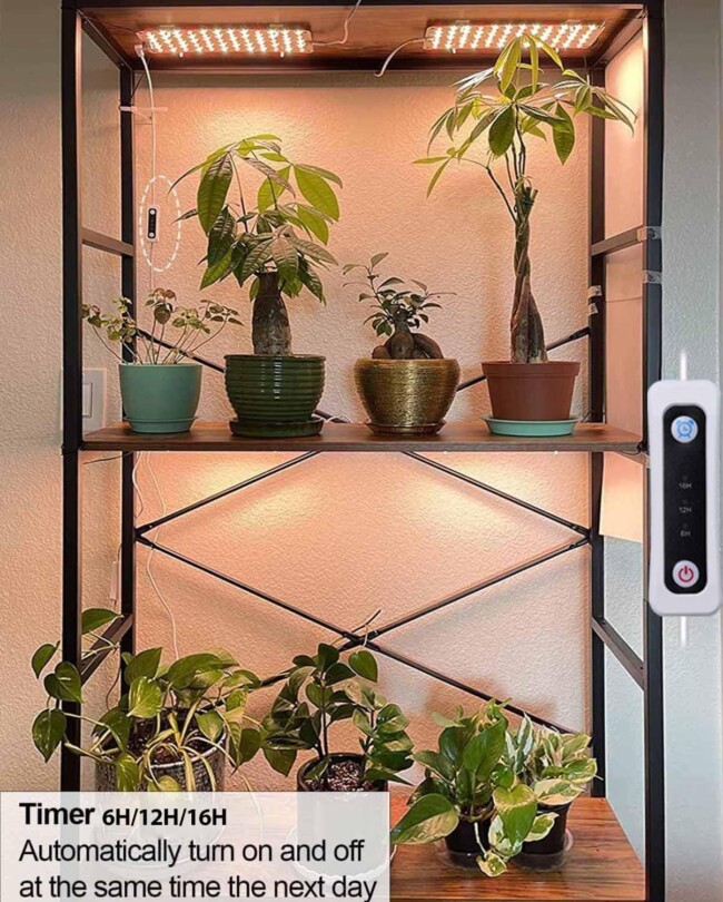 Indoor Plant Light Energy Efficient 3