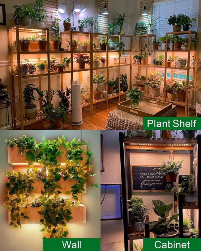Indoor Plant Light Energy Efficient 5