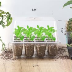 Indoor Planting Kit Seedling Starter 1