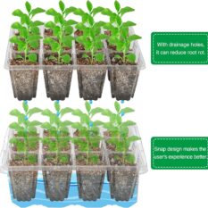 Indoor Planting Kit Seedling Starter 4