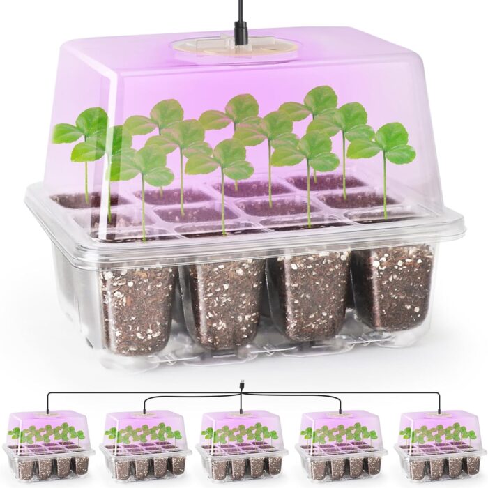 Indoor Planting Kit Seedling Starter