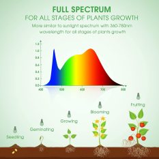 LED Grow Light Bulbs for Indoor Plants 2 counts full spectrum