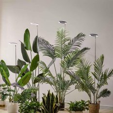 Plant Grow Light for Indoor Large Plant black 1pack for plants