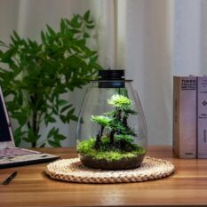 Smart Full Spectrum Grow Light Solution tabletop